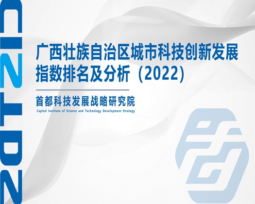 外国美女日逼免费高清视频网址【成果发布】广西壮族自治区城市科技创新发展指数排名及分析（2022）